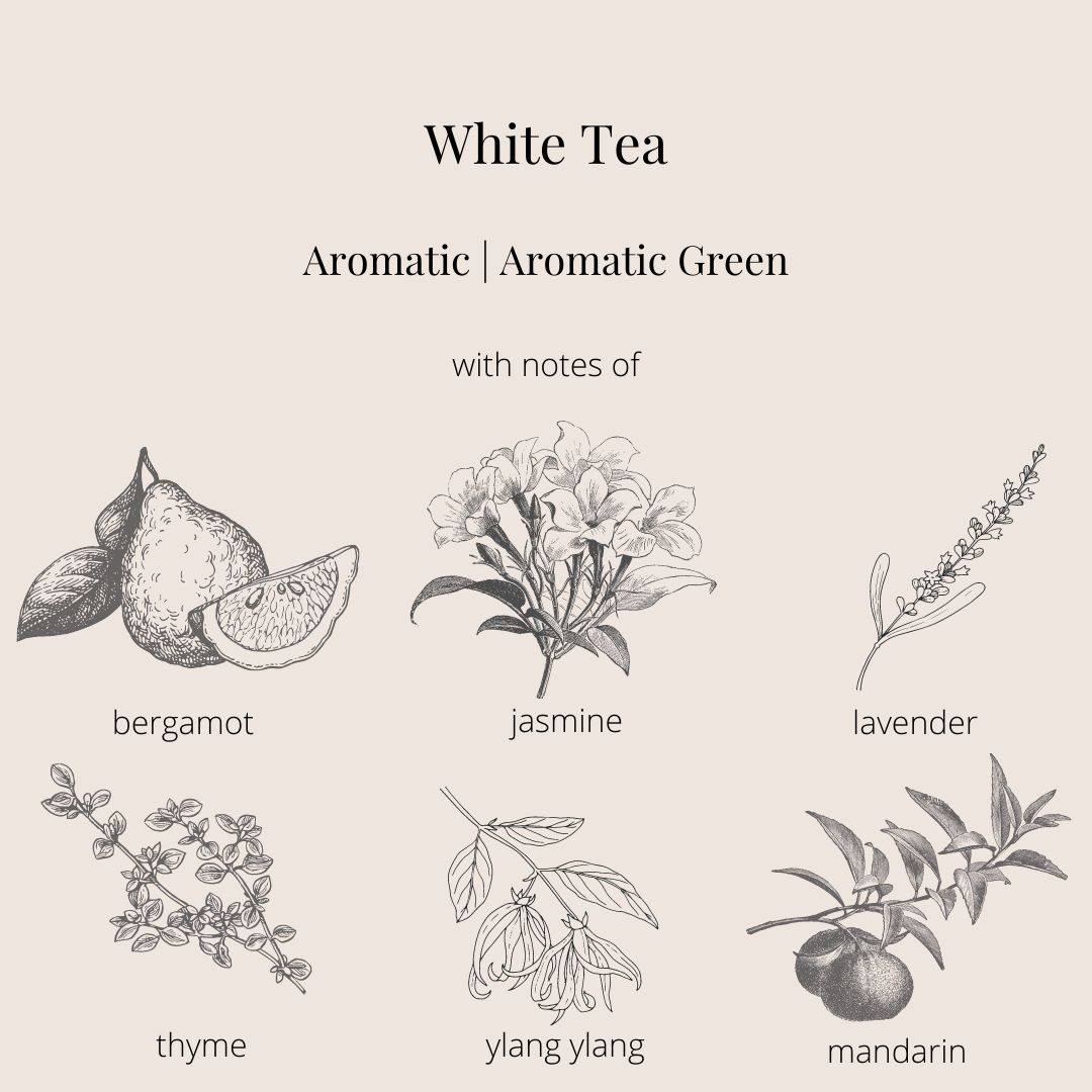 APFR / Fragrance Glass Candle / White Tea